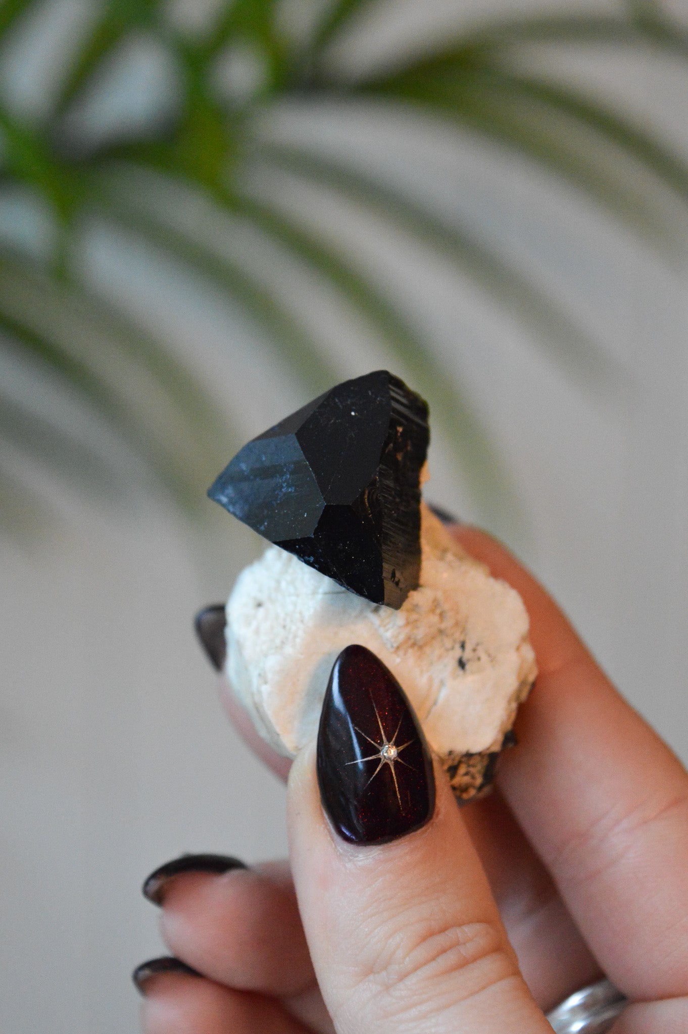 Black Tourmaline Specimen