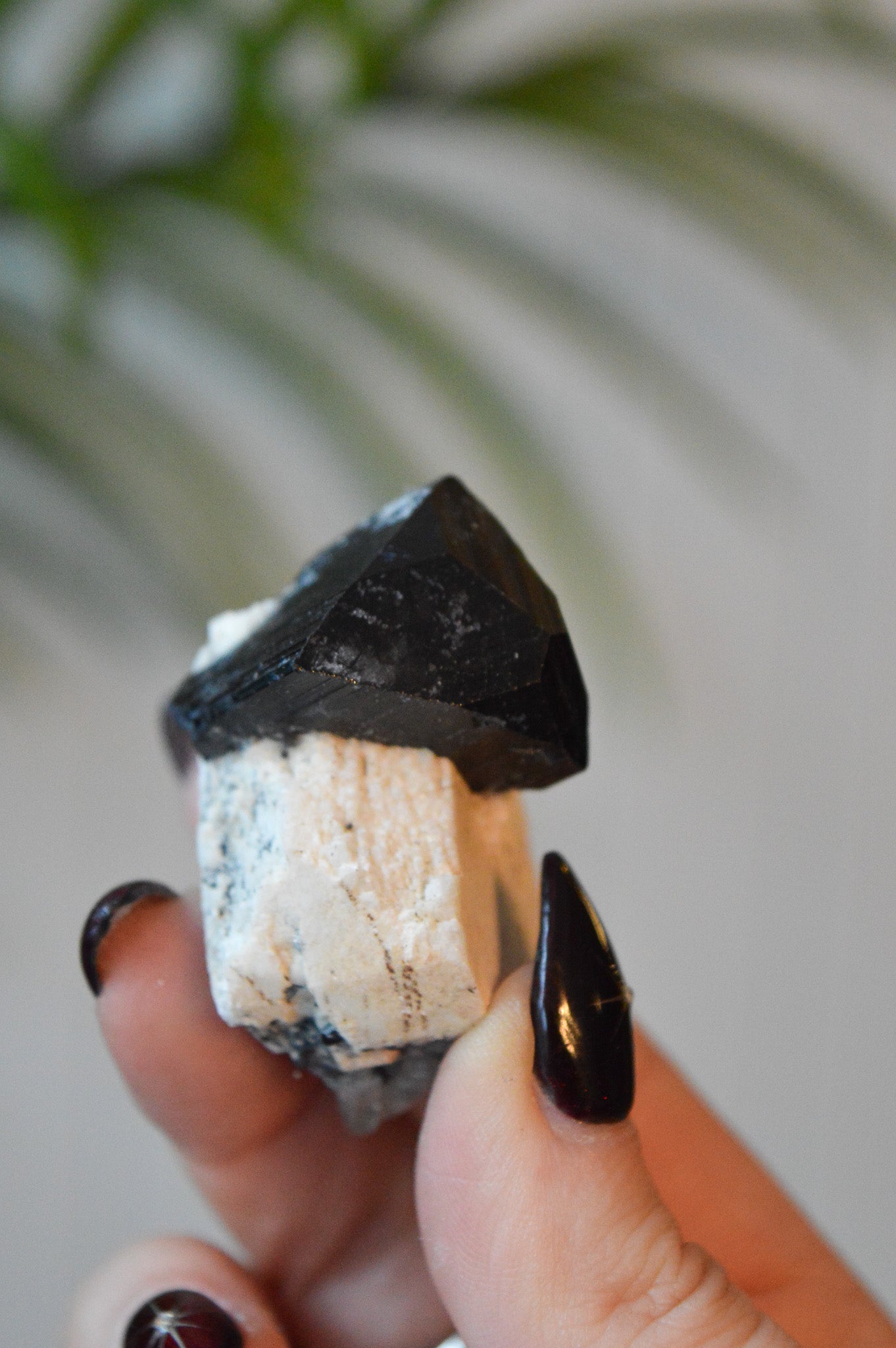 Black Tourmaline Specimen