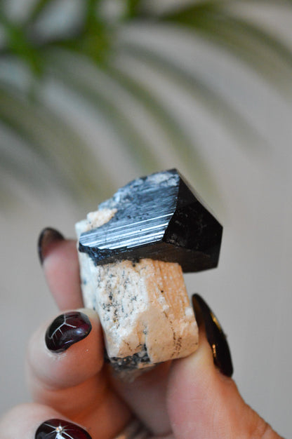 Black Tourmaline Specimen
