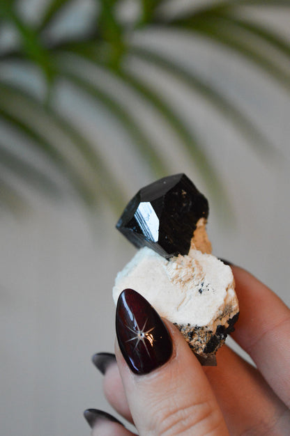 Black Tourmaline Specimen