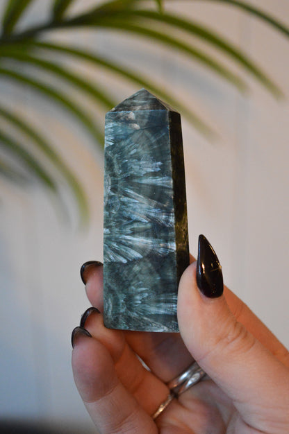 Seraphinite Point #4