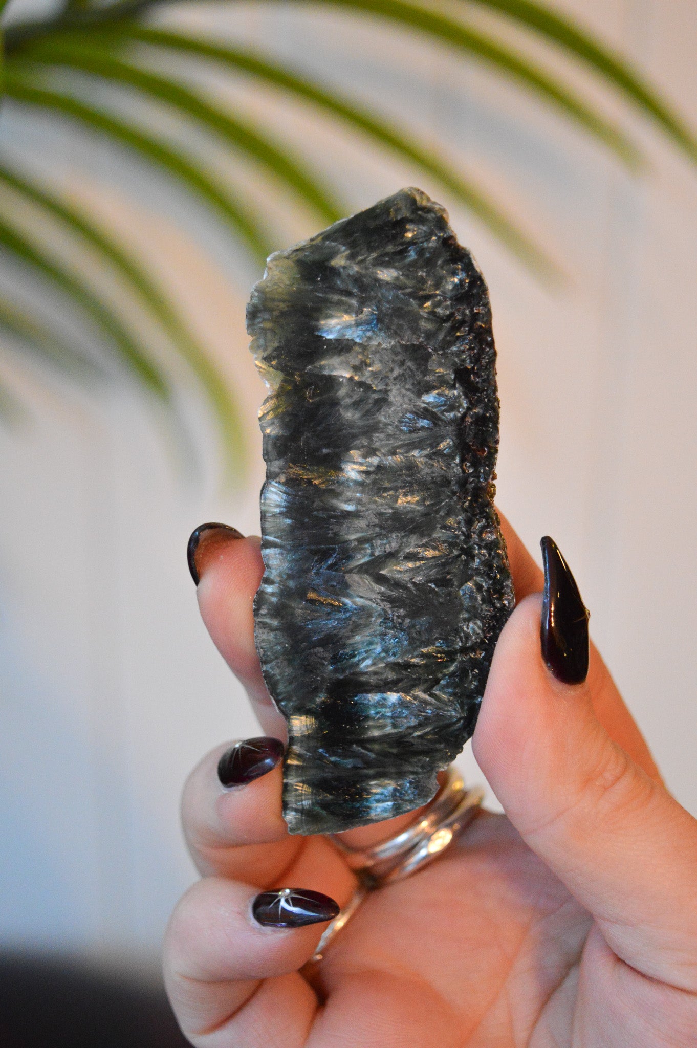 Seraphinite Slice #1
