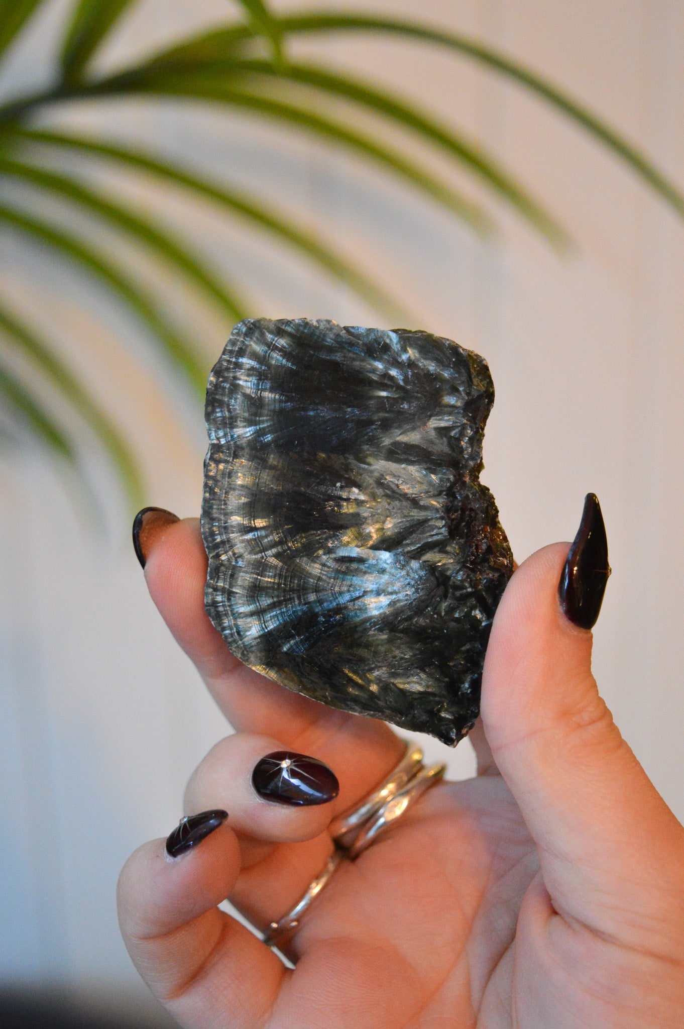 Seraphinite Slice #2