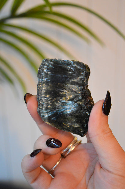 Seraphinite Slice #2