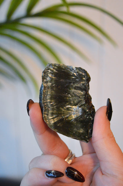 Seraphinite Slice #2