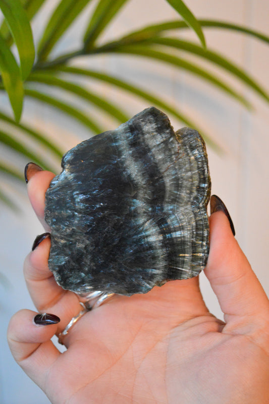 Seraphinite Slice #3