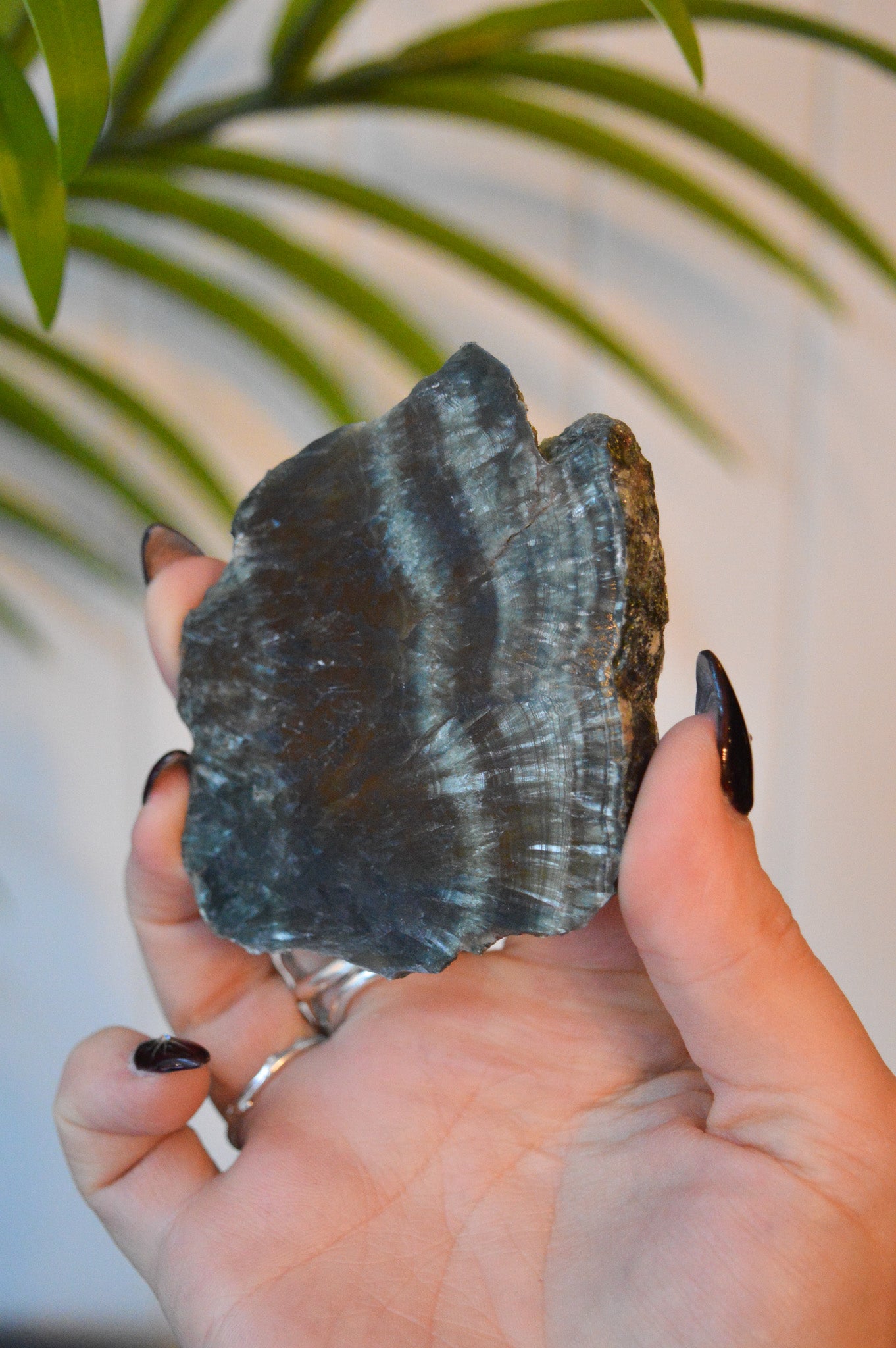 Seraphinite Slice #3