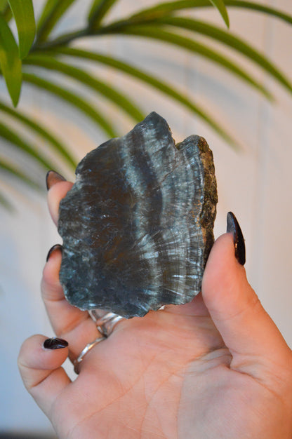 Seraphinite Slice #3