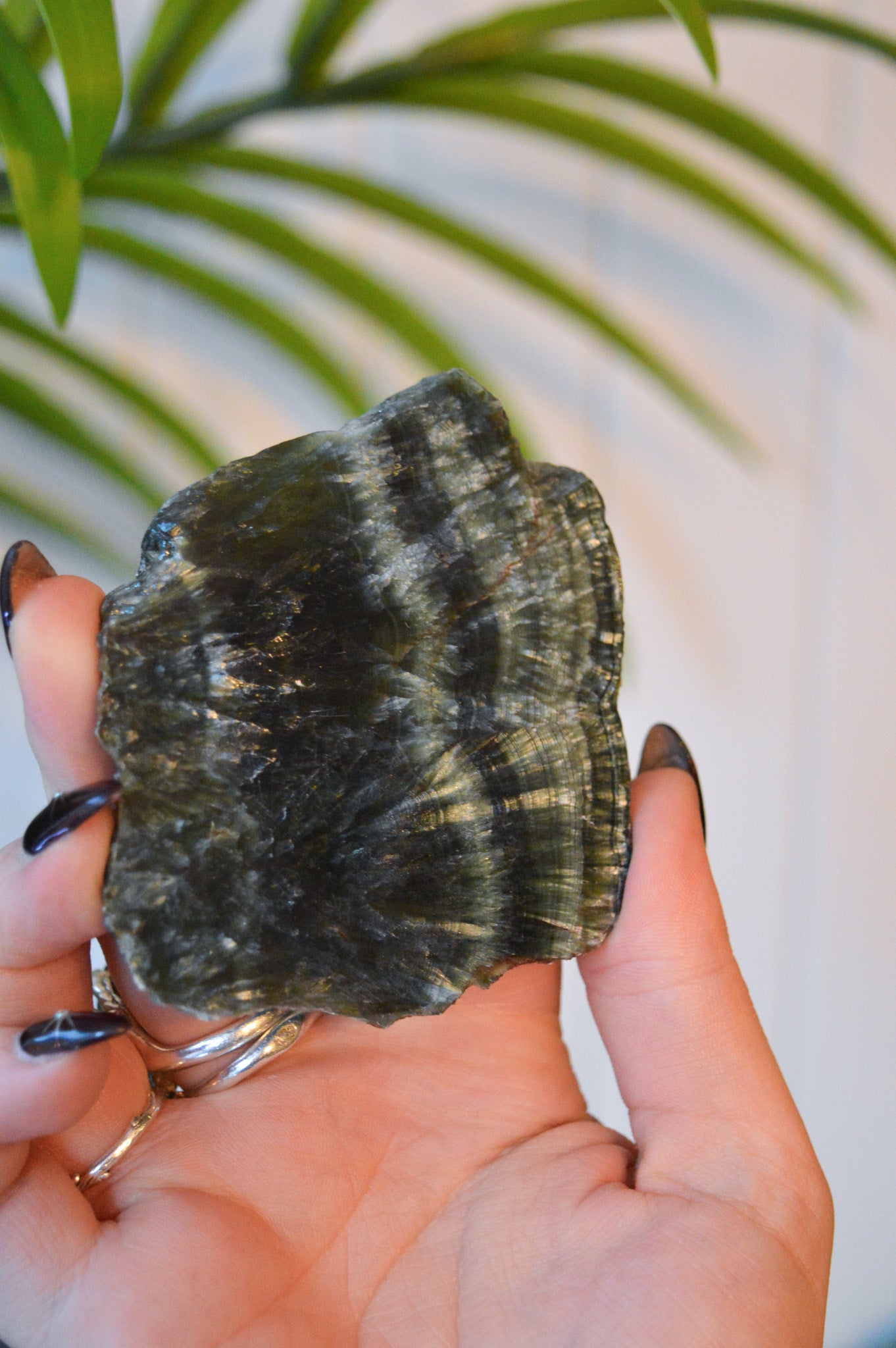 Seraphinite Slice #3