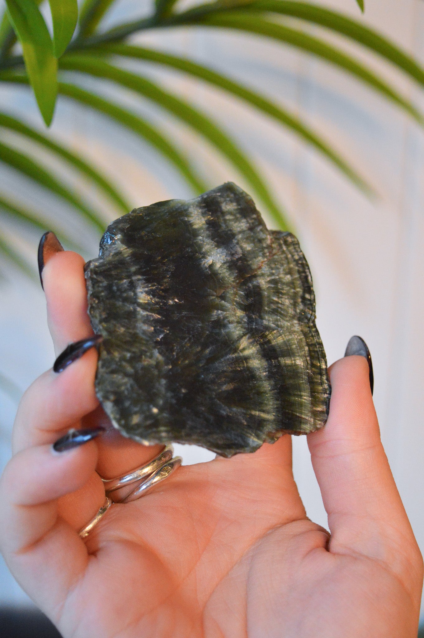 Seraphinite Slice #3