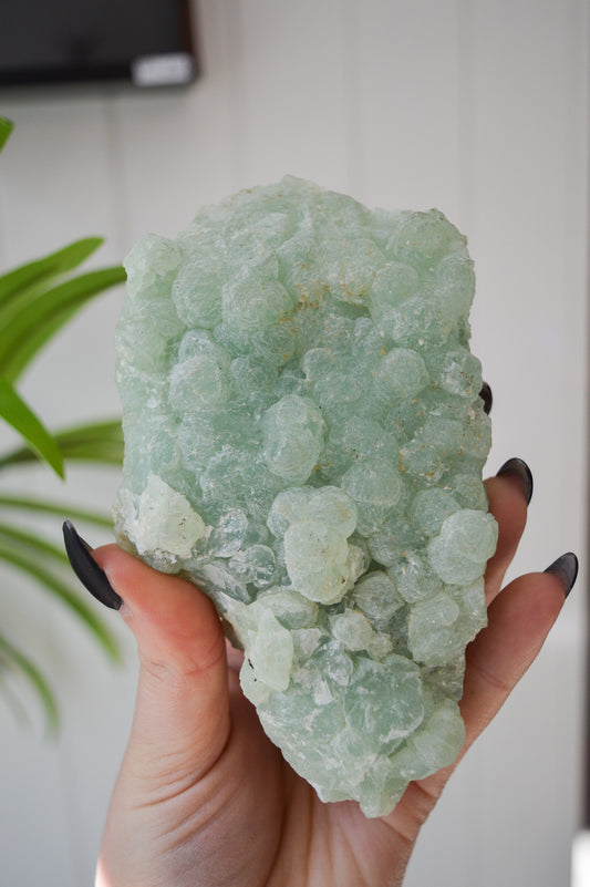 Botryoidal Prehnite