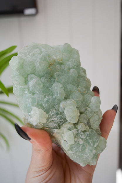 Botryoidal Prehnite