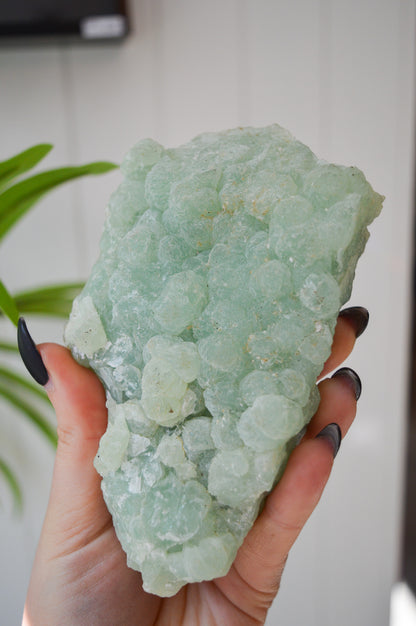 Botryoidal Prehnite