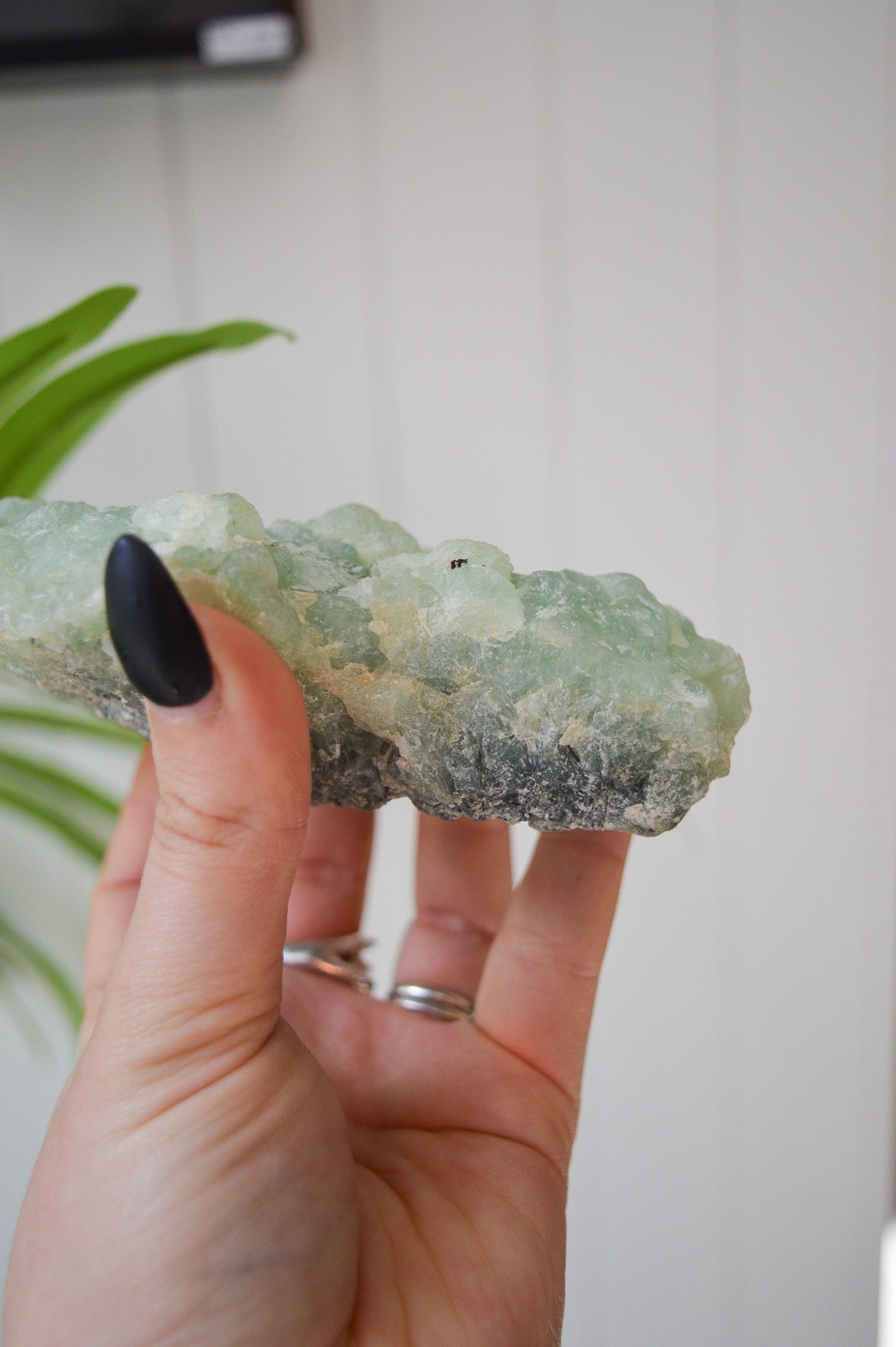 Botryoidal Prehnite