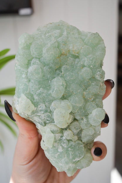 Botryoidal Prehnite