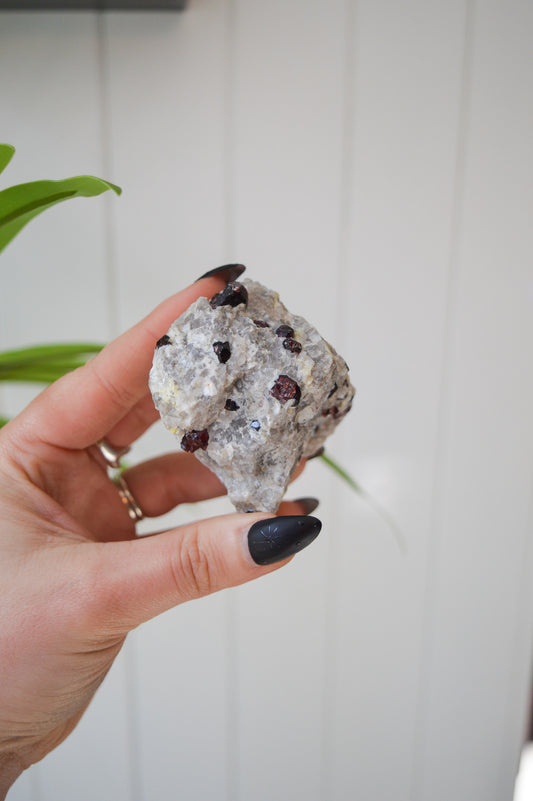 Pyrope Garnets in Feldspar