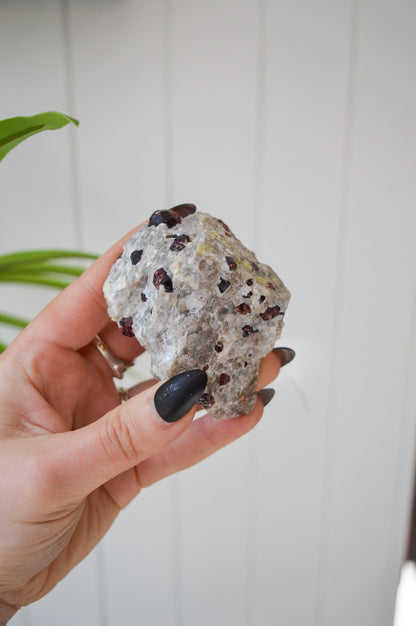 Pyrope Garnets in Feldspar