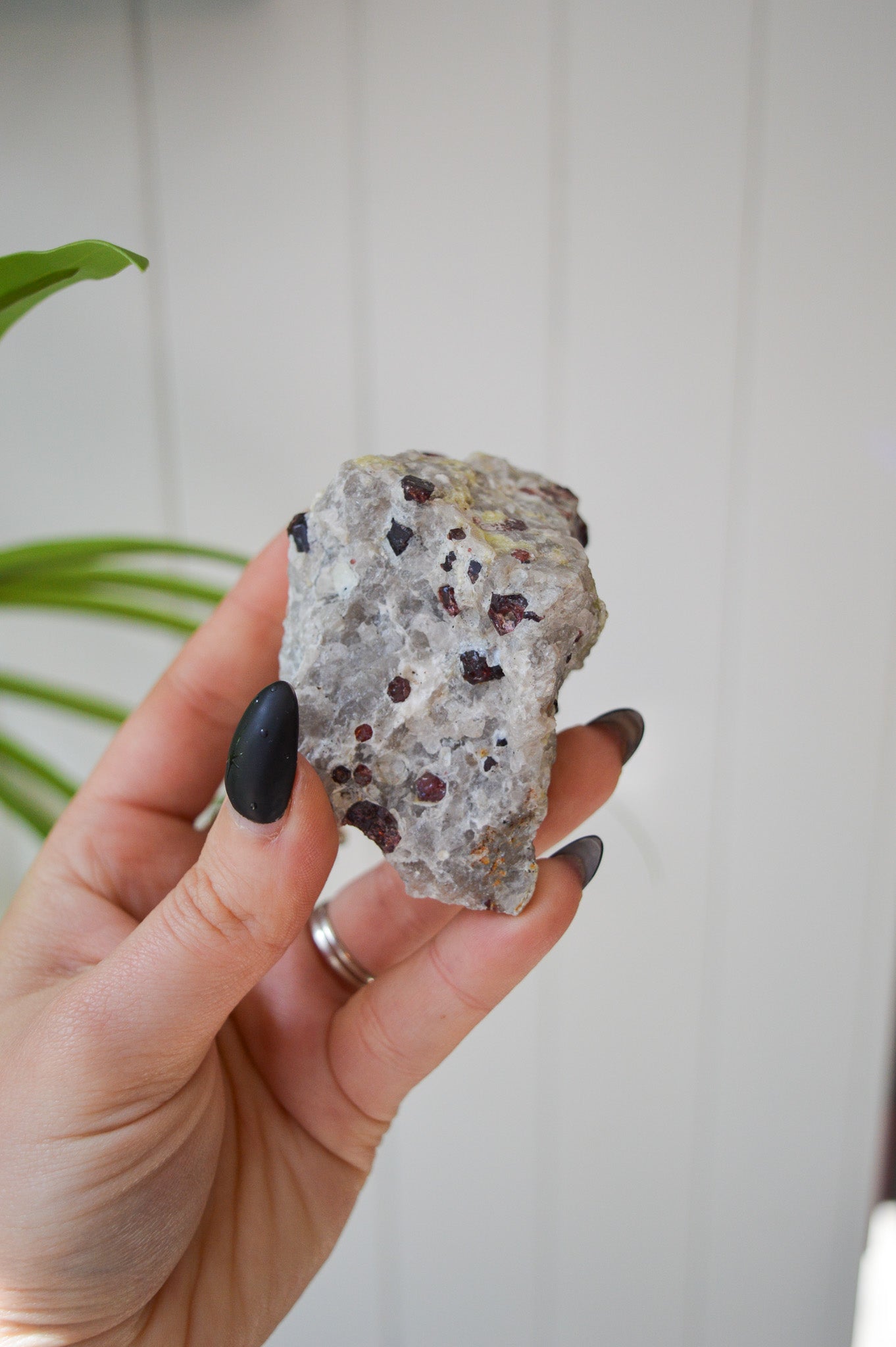 Pyrope Garnets in Feldspar
