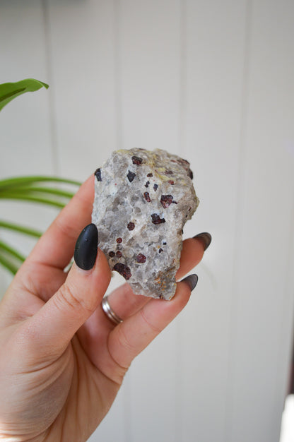 Pyrope Garnets in Feldspar