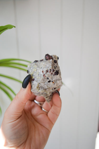 Pyrope Garnets in Feldspar