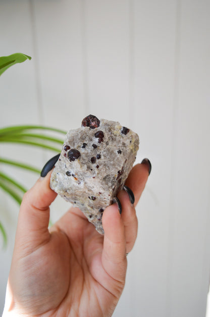 Pyrope Garnets in Feldspar