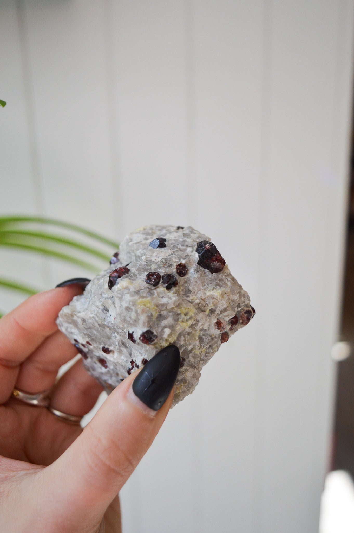 Pyrope Garnets in Feldspar