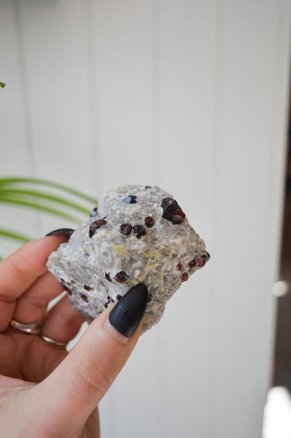 Pyrope Garnets in Feldspar