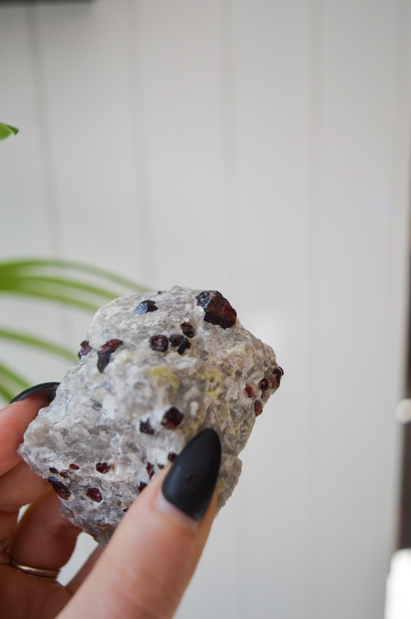 Pyrope Garnets in Feldspar