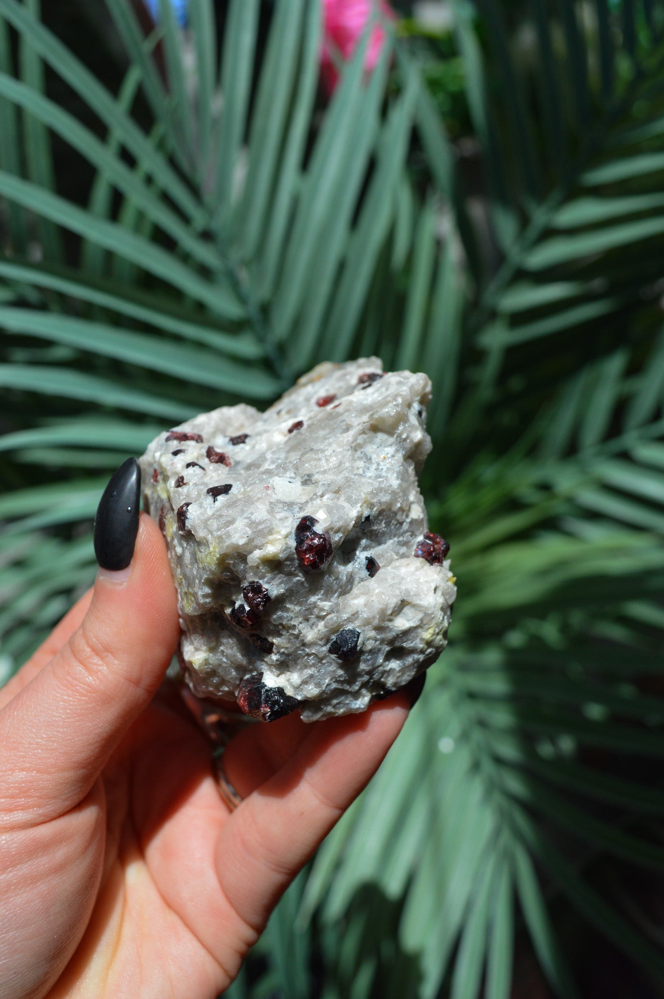 Pyrope Garnets in Feldspar