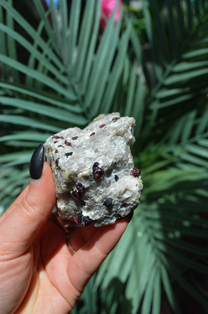 Pyrope Garnets in Feldspar