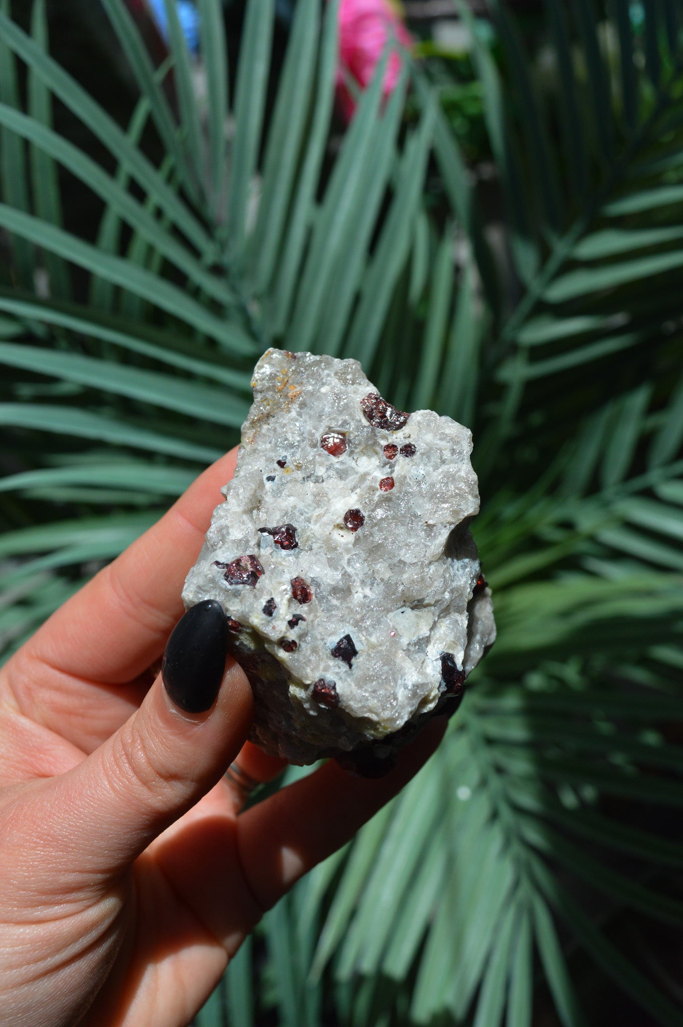 Pyrope Garnets in Feldspar