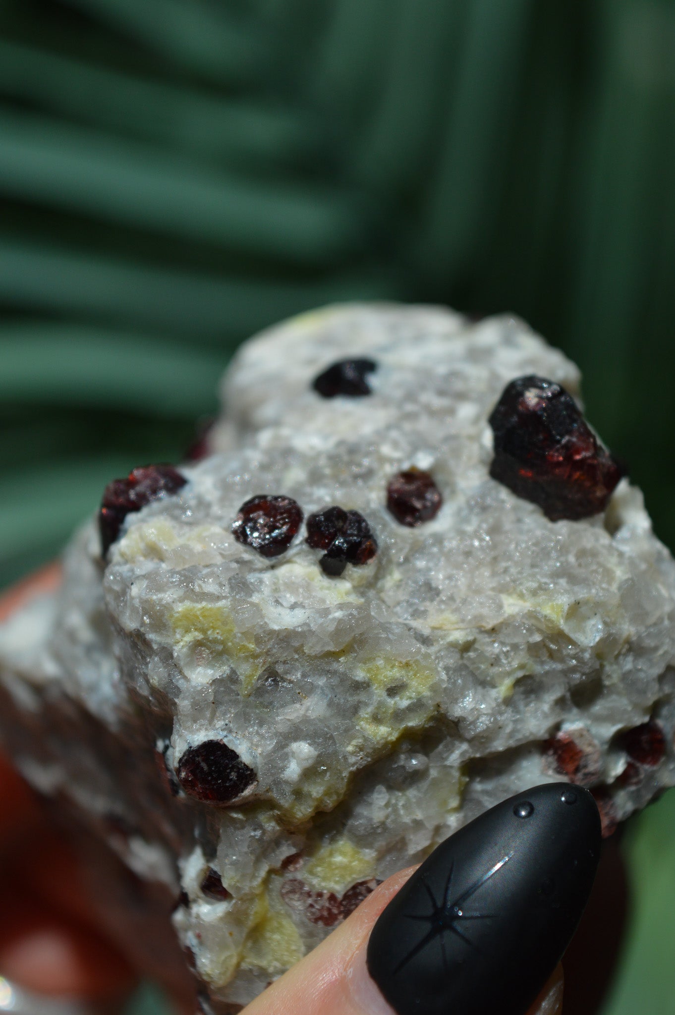 Pyrope Garnets in Feldspar