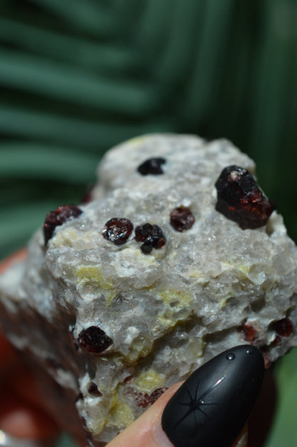 Pyrope Garnets in Feldspar