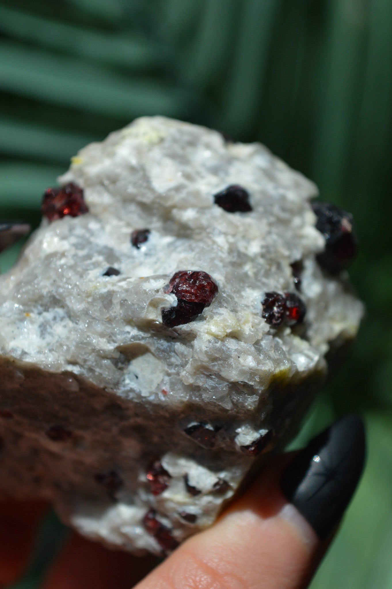 Pyrope Garnets in Feldspar