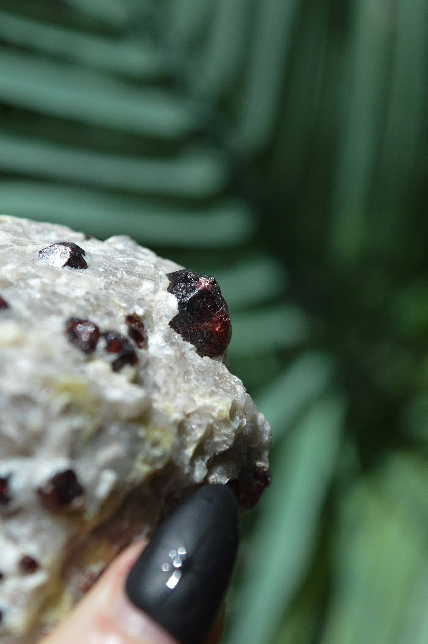 Pyrope Garnets in Feldspar