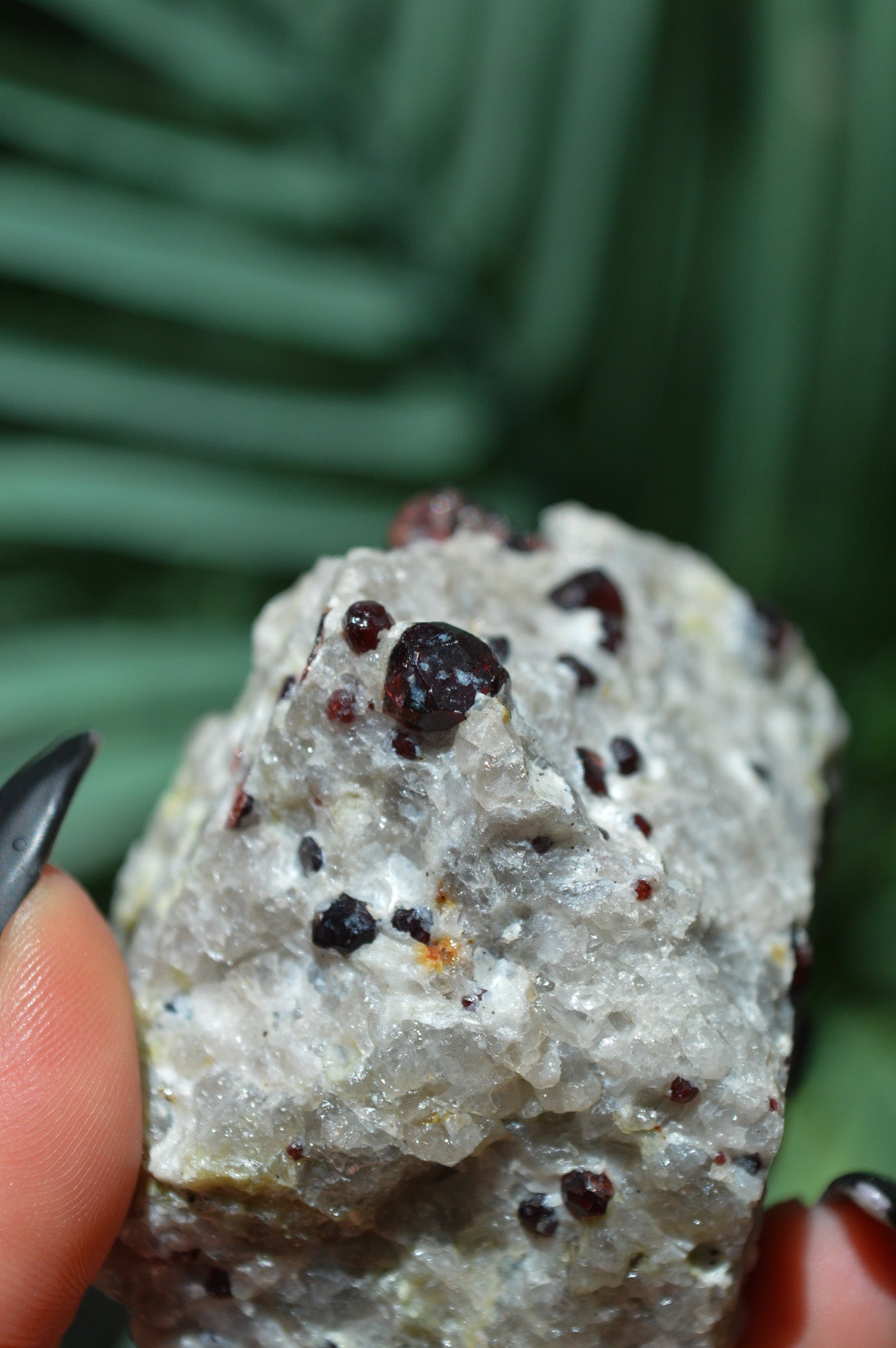 Pyrope Garnets in Feldspar