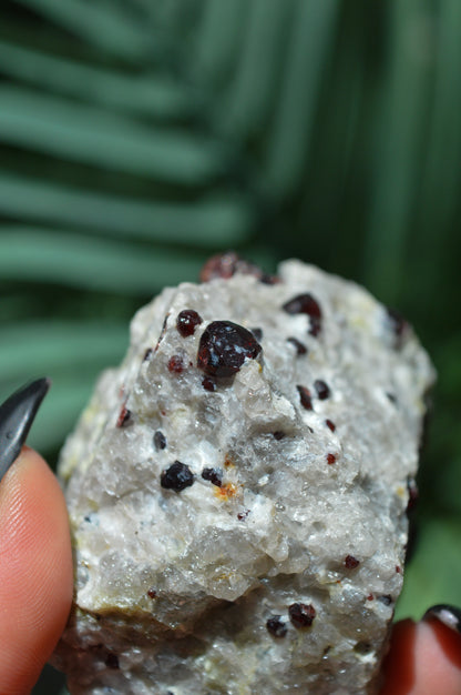 Pyrope Garnets in Feldspar
