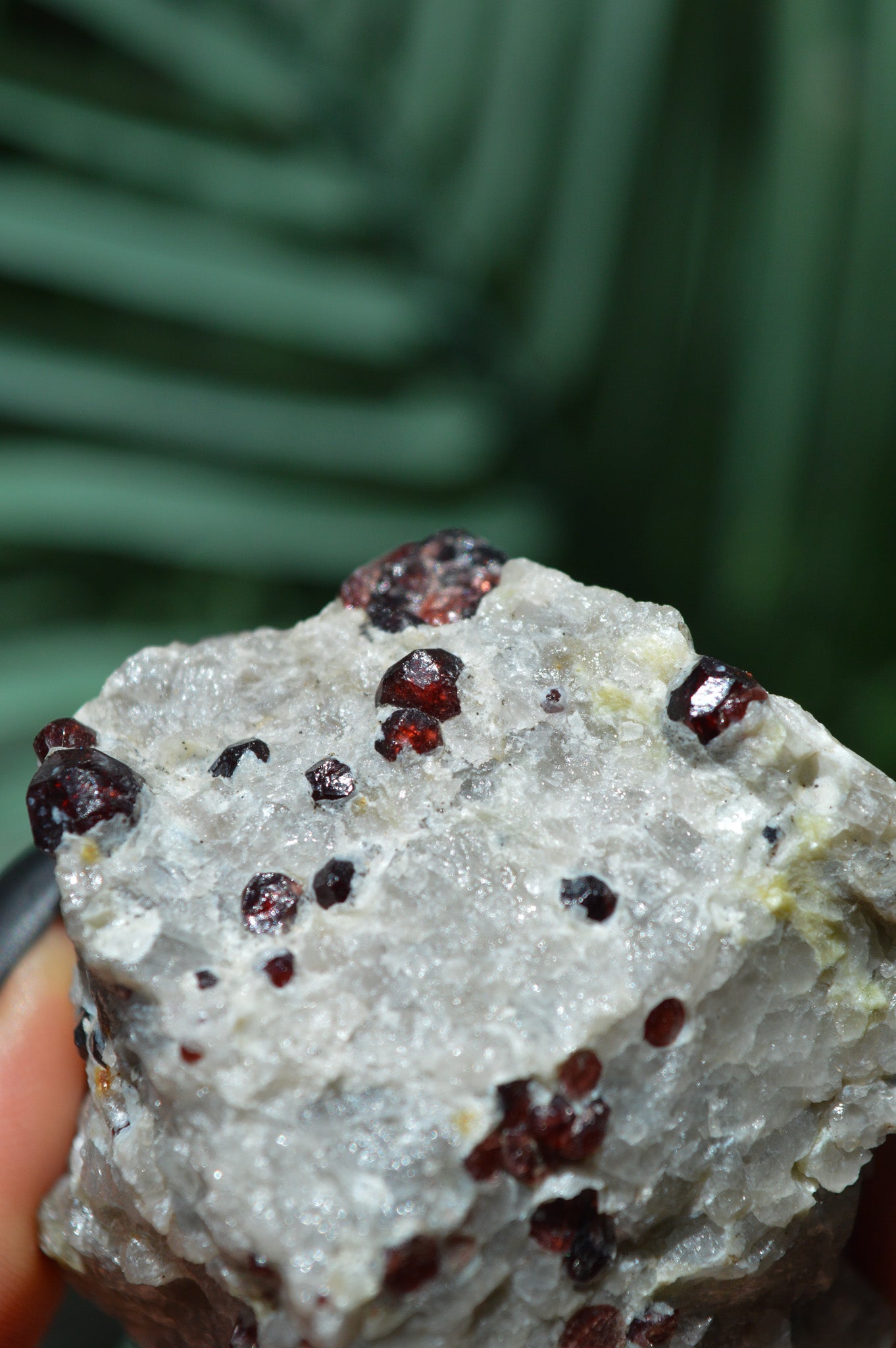 Pyrope Garnets in Feldspar