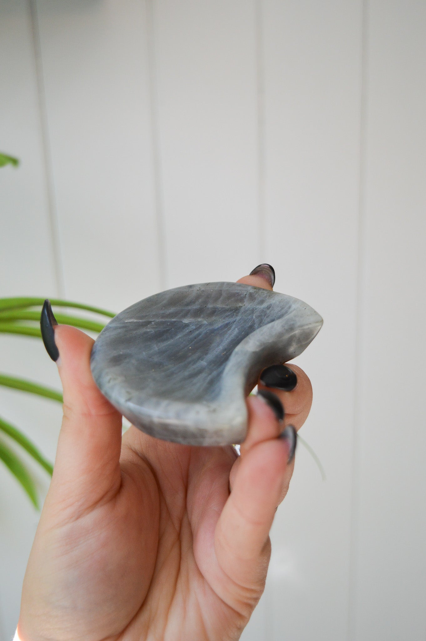 Small Labradorite Moon Dish