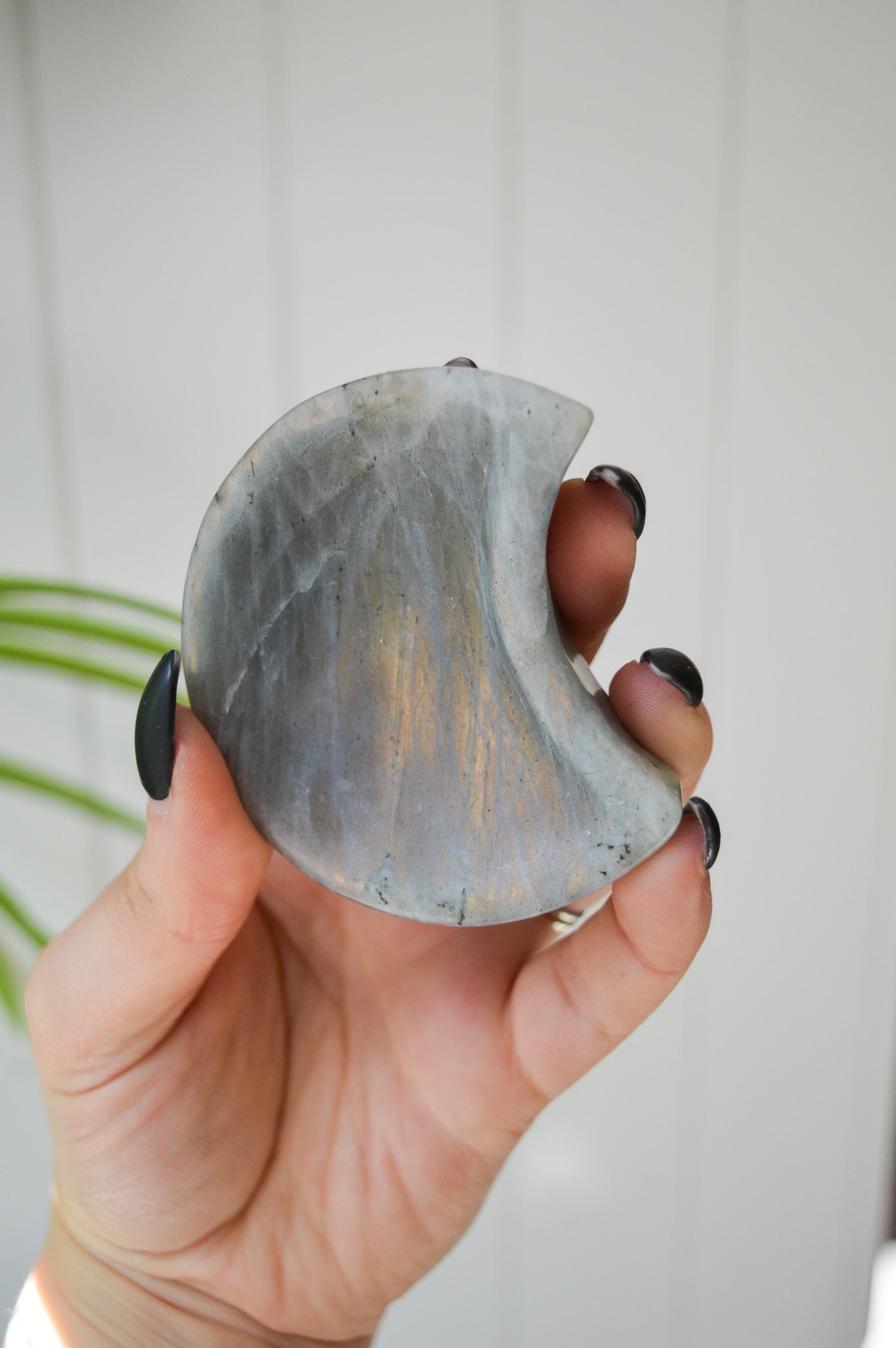 Small Labradorite Moon Dish