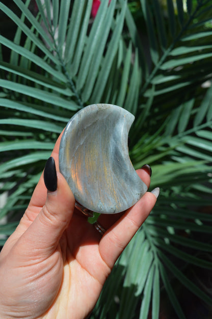 Small Labradorite Moon Dish