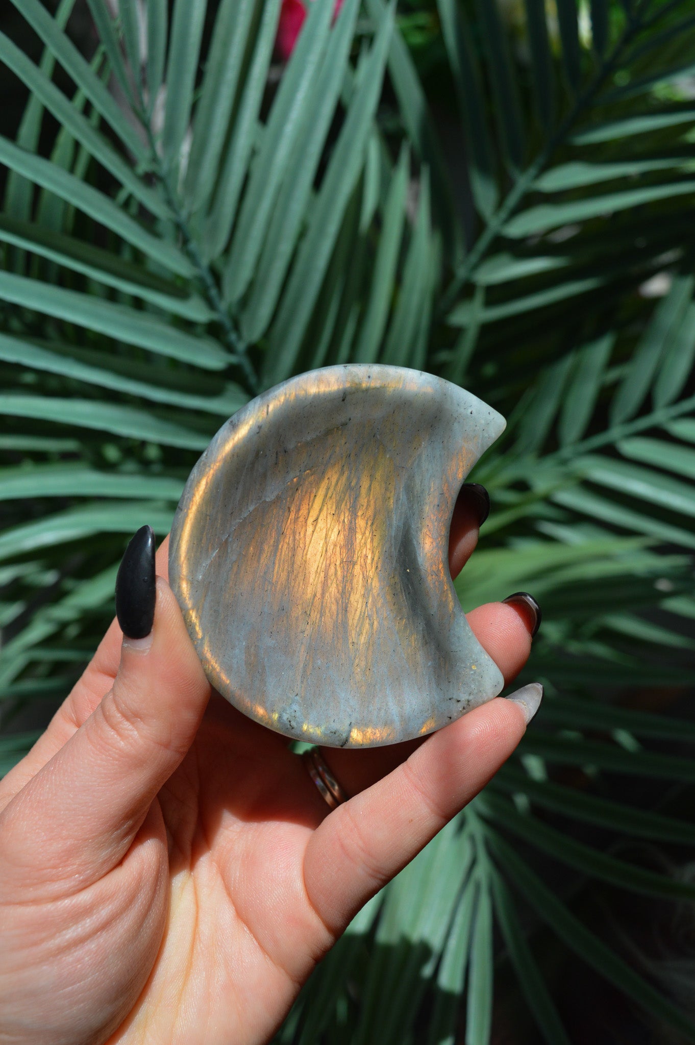 Small Labradorite Moon Dish