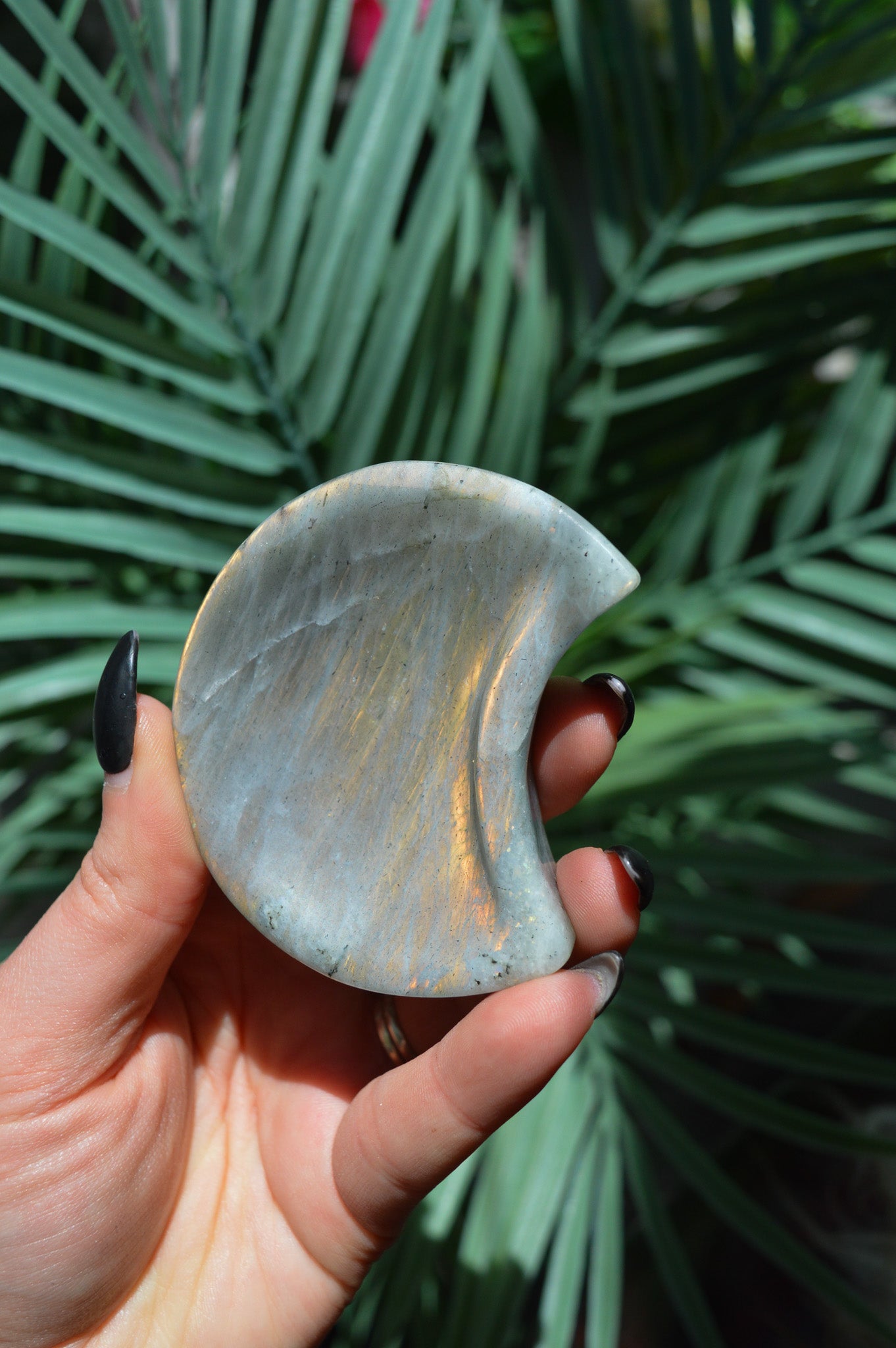 Small Labradorite Moon Dish