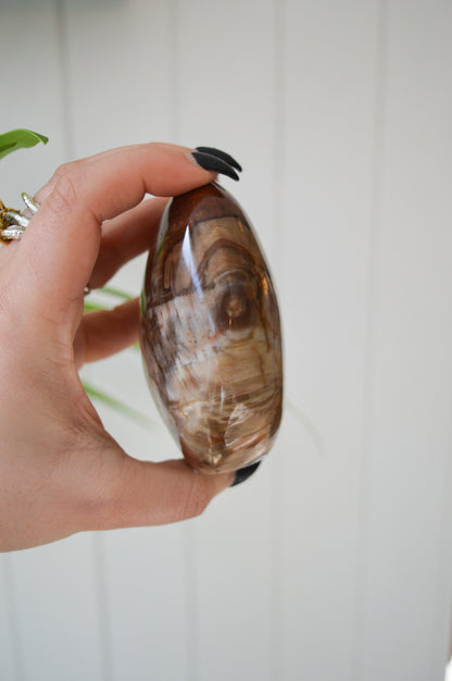 Petrified Wood Freeform