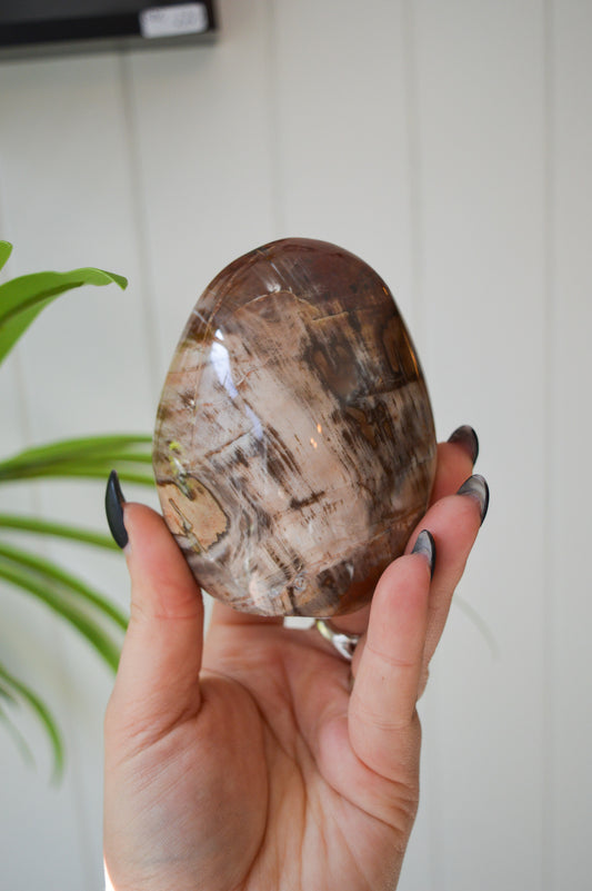 Petrified Wood Freeform