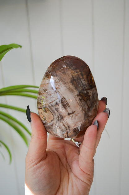 Petrified Wood Freeform