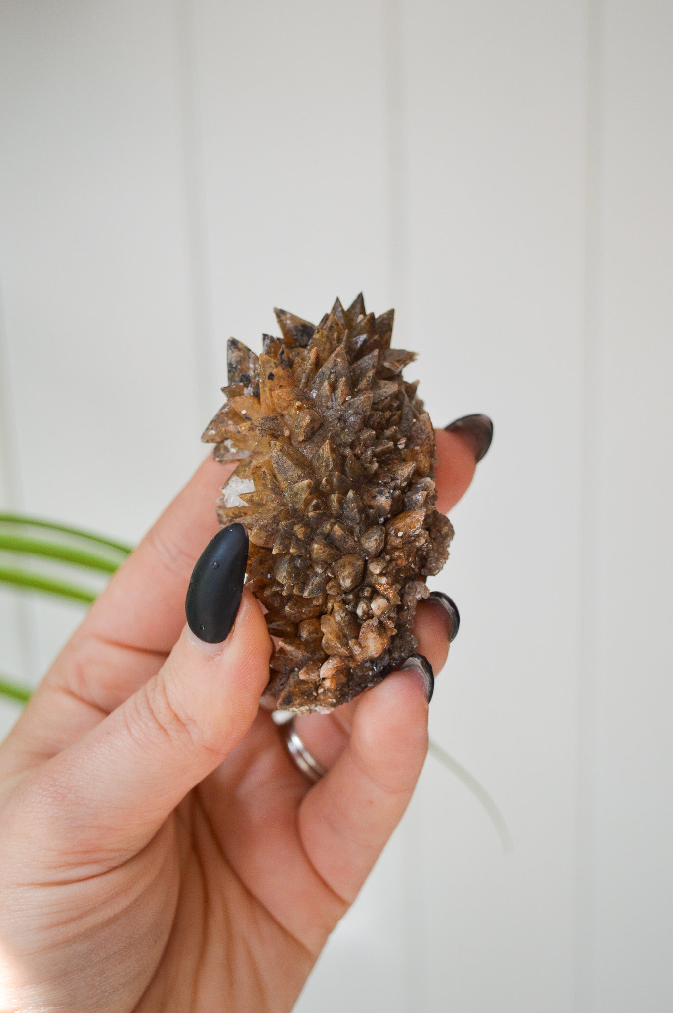 Dogtooth Calcite Specimen #1