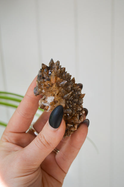 Dogtooth Calcite Specimen #1