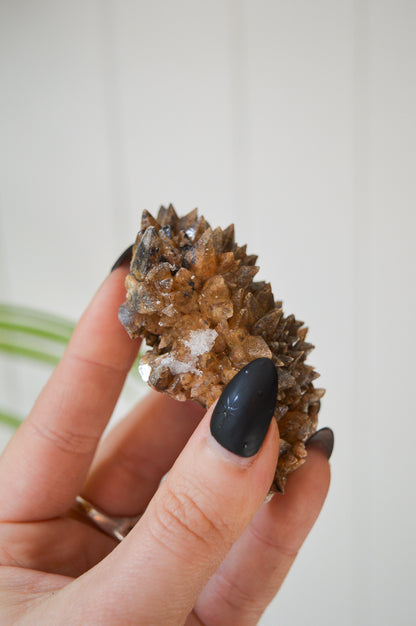 Dogtooth Calcite Specimen #1