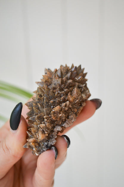 Dogtooth Calcite Specimen #1